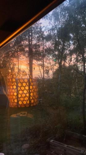 Le Bus de la Forêt (Le Bus de la Foret) in Iffendic