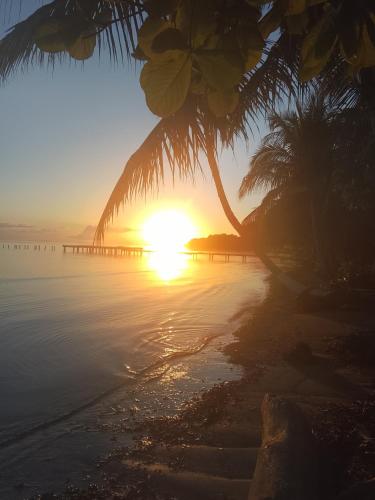 Palmeras de Miramar in Punta Laurel