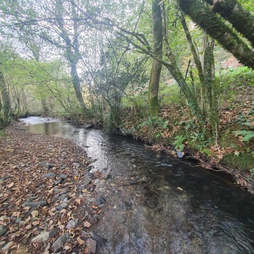 Riverside Cottage in Devon in Shirwell