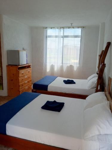 Suite Privada con AC, Kitchenette y Baño Exclusivo Casa Oasis Galápagos