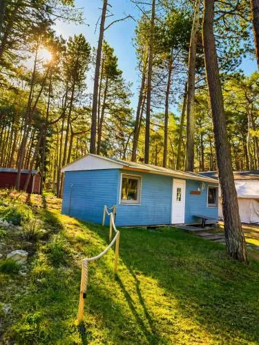 Camping Standard Bungalow Ferienwohnung auf Rügen - bis 5 Personen - nur 100m zum Naturstrand - mitten im Wald - Familien und Hunde herzlich willkommen - Feriensiedlung Schwalbennest in Dranske, Deutschland