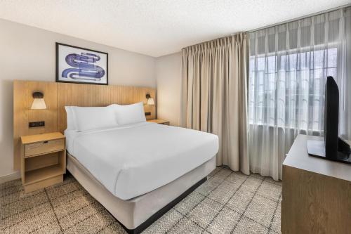 Sonesta Simply Suites Las Vegas - image 24