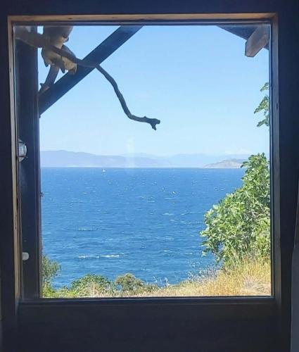 Fitalmios in Driopi (Attiki)