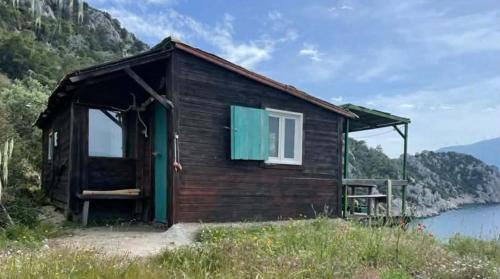 Fitalmios in Driopi (Attiki)