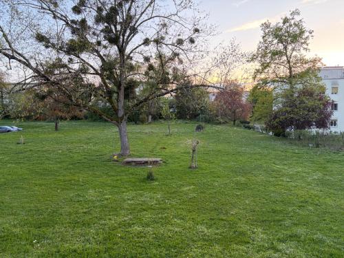 Appartement entier, calme & vue sur le parc, Geneva (photo 4)