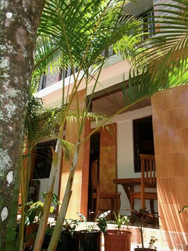 A szálláshely kívülről, Rainforest Yasmin Hotel in Santa Fe