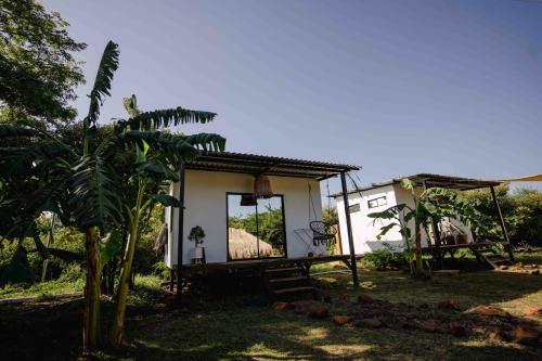 Alma Vita in Punta Mango