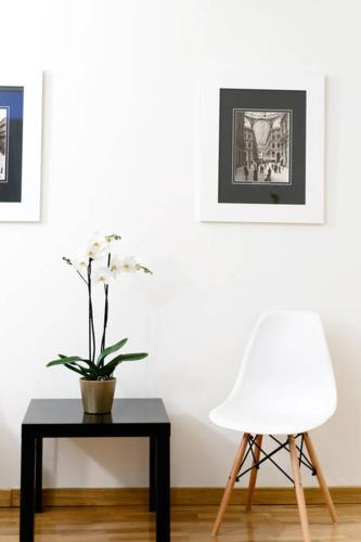 Family Suite image 3
