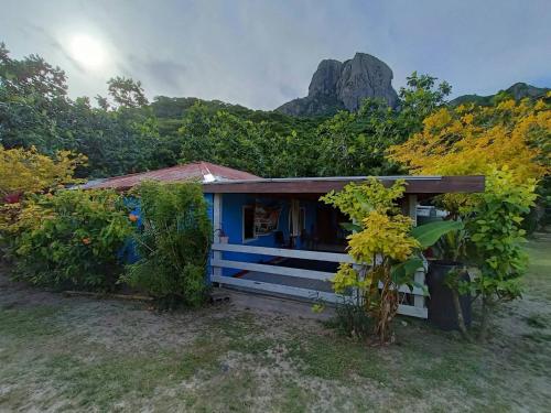 Phantom rock view homestay in Wayasewa Island