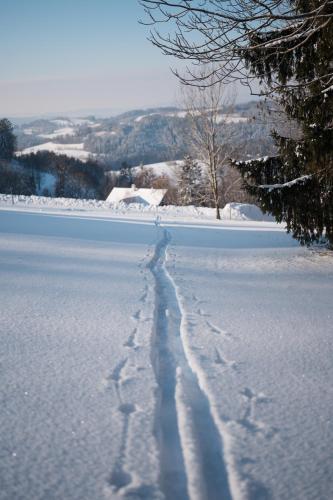 Horská Chata na Špici - image 5