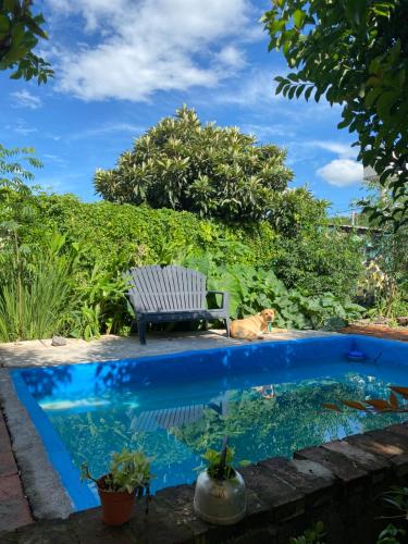 Swimming pool, Onda Verde Hostel in San Salvador De Jujuy