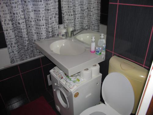 Apartament Pacii - image 13
