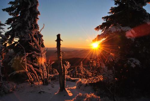 Zur Alten Dampfsäge - Gasthaus-Pension Weber