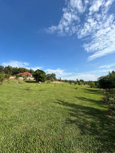 zahrada, Ikamba Residence in Est