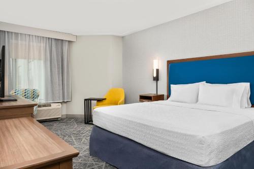 1 king bed
