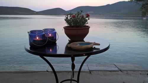 Villa Penelope - Unique beachfront house in Nies