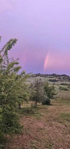 Orchard House North in Pergola (Urbino)