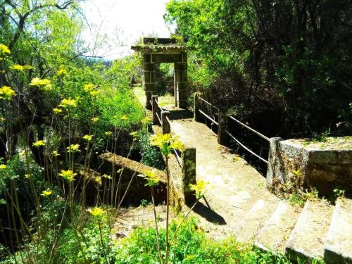 Stone House - Waterfalls, Nature Stay in Castelo Novo