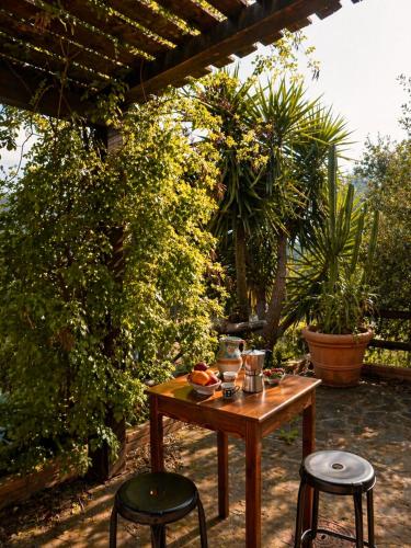 Agriturismo Piano di Andrea in Perito
