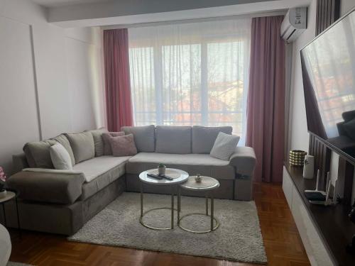 Saric LuxApartman - Apartment - Kruševac