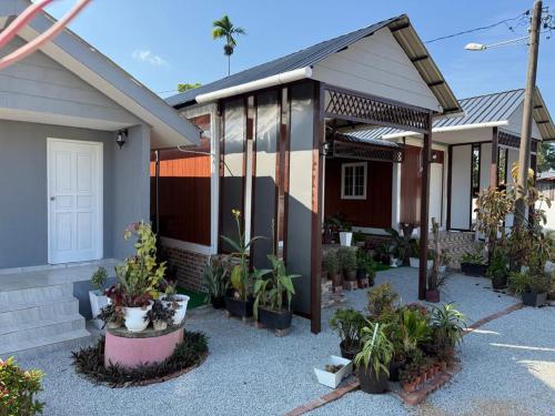 Little Misha Stay in Pasir Putih