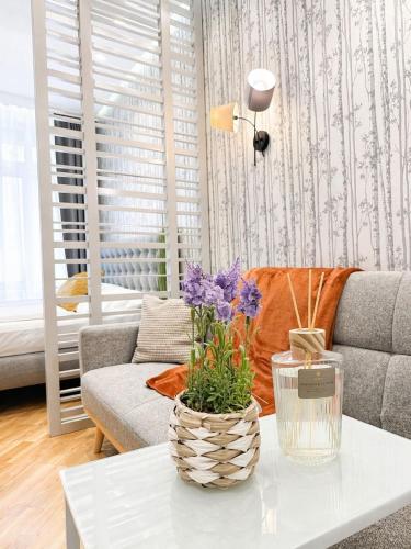 ZEUS Design Apartments Wasserwelt 5
