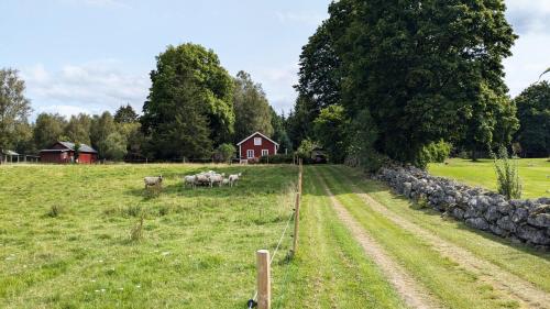 Iekārtas, Idyllic and family friendly cottage in Smaland SE06095 in Kvanarp