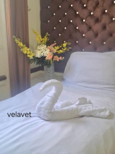 Dawn tawn velavet - image 13