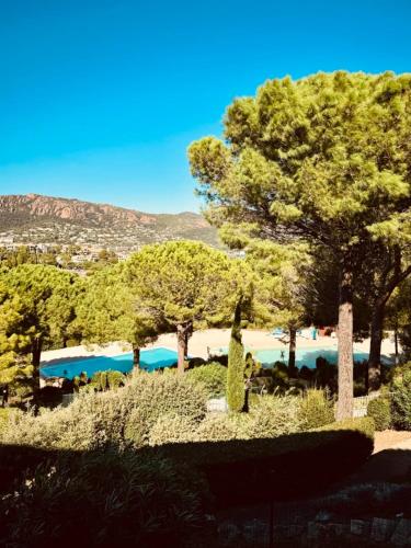 Magnifique F2 climatisé de 42m2 Vue Sur la mer et la piscine Réf K1 203