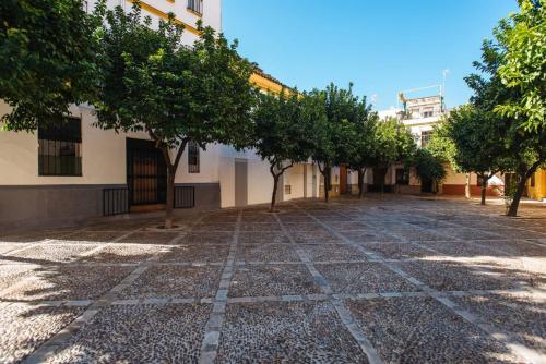 La Puerta Verde en el Casco Antiguo - image 5