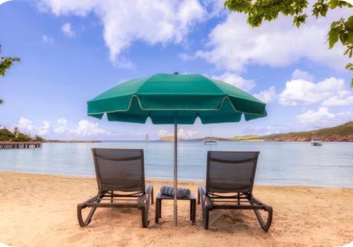 Saint Thomas Villa with Ocean view in Bellevue