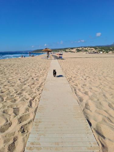 Zia Mimmia - Bike-friendly tra costa e colline in Portu Maga