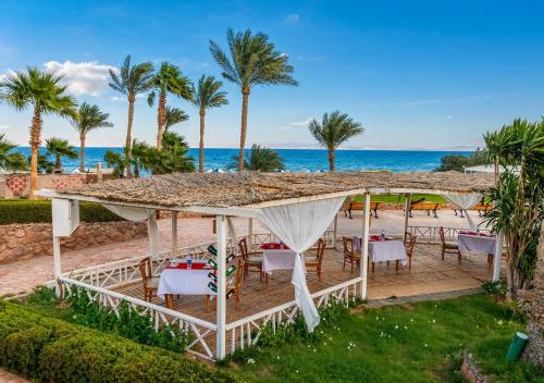 Restoran, Tropitel Dahab Oasis in Dahab