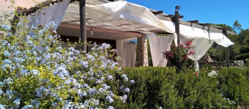 Balcony/terrace, Arcamyrtus in Alghero