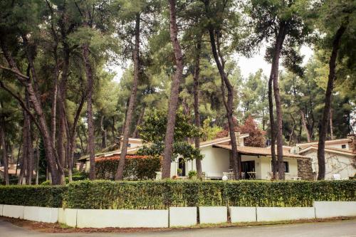  Villa Kallisti in Sani in Sani Beach
