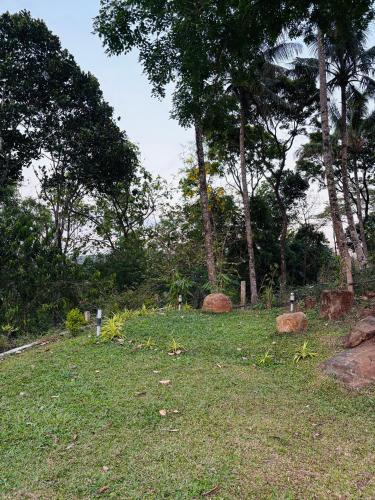 Dārzs, Wilmora in Ramakalmedu