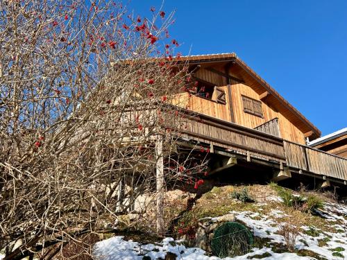 Fenêtre sur les crêtes Vosgiennes - Location, gîte - La Bresse