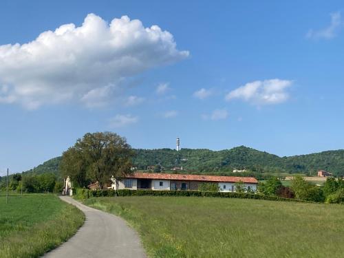 Tempo al Tempo - Frinco