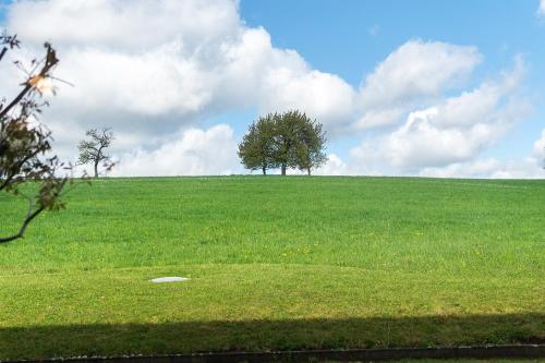 Hotelli välisilme, Hundefreundliches Apartment H1 008 in Spalt