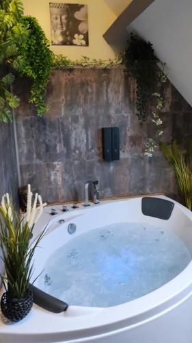les gites du soulor L' ESTAING avec balneo, bain nordique et sauna a 2 minutes du centre d'arrens ma in 阿肯馬素