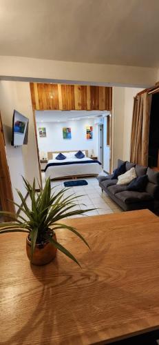 Suites Xico Oaxaca - image 2
