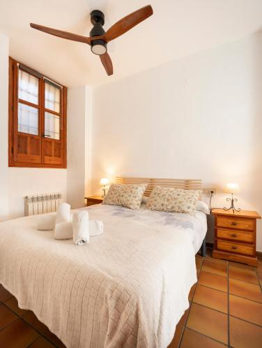 Charming Spacious Albayzin Apartment 3