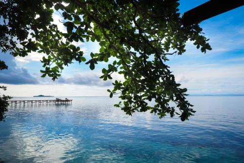 Raja Ampat Dive Resort