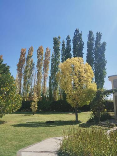 Mariaflorales - image 5