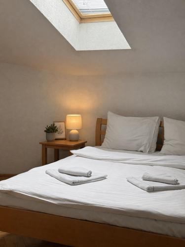 Apartman Igrišta 1 - Vlasenica