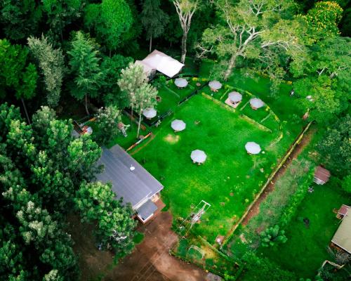 Njukiini Forest Lodge in Embu