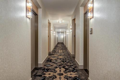 Hilton Garden Inn- Chicago Central Loop - image 16