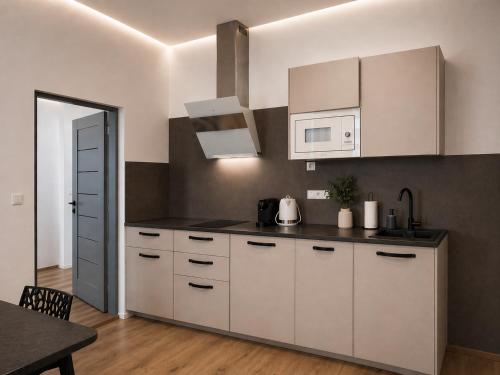 virtuve, Family Apartments Černice (Family Apartments Cernice) in Prisečna