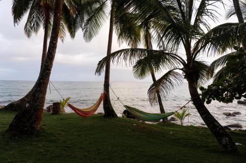 Dārzs, Guesthouse Island Escape in Kornailenda