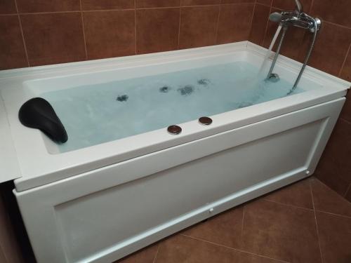 "Bee Happy" Spa Apartment - Mineral Water,Jacuzzi bath,Pet-friendly in Momin Prohod